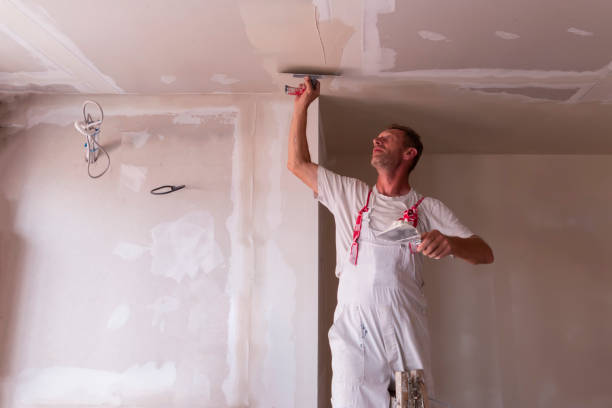 Best Water-Damaged Drywall Repair  in Wheat Ridge, CO